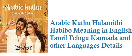 Arabic Kuthu Halamithi Habibo Meaning In English Tamil Telugu Hindi 